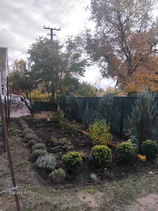 Дача возле леса , Самарь Решкут.