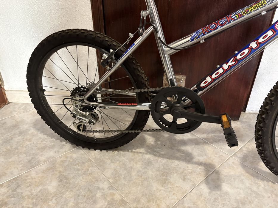 Bicicleta rapaz 20”