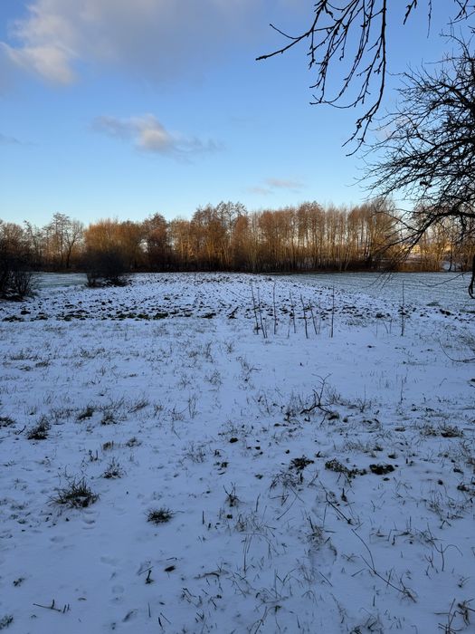 Продам дом с землёй