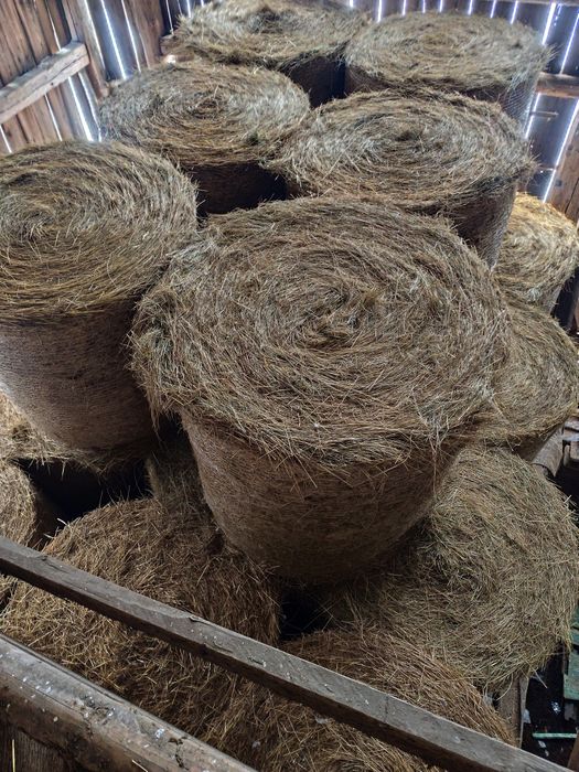 Siano tegoroczne 120/120