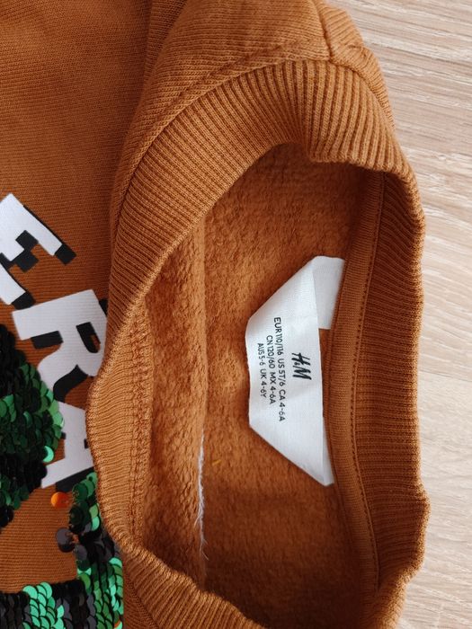 Bluza H&M r. 110/116 Tygrys