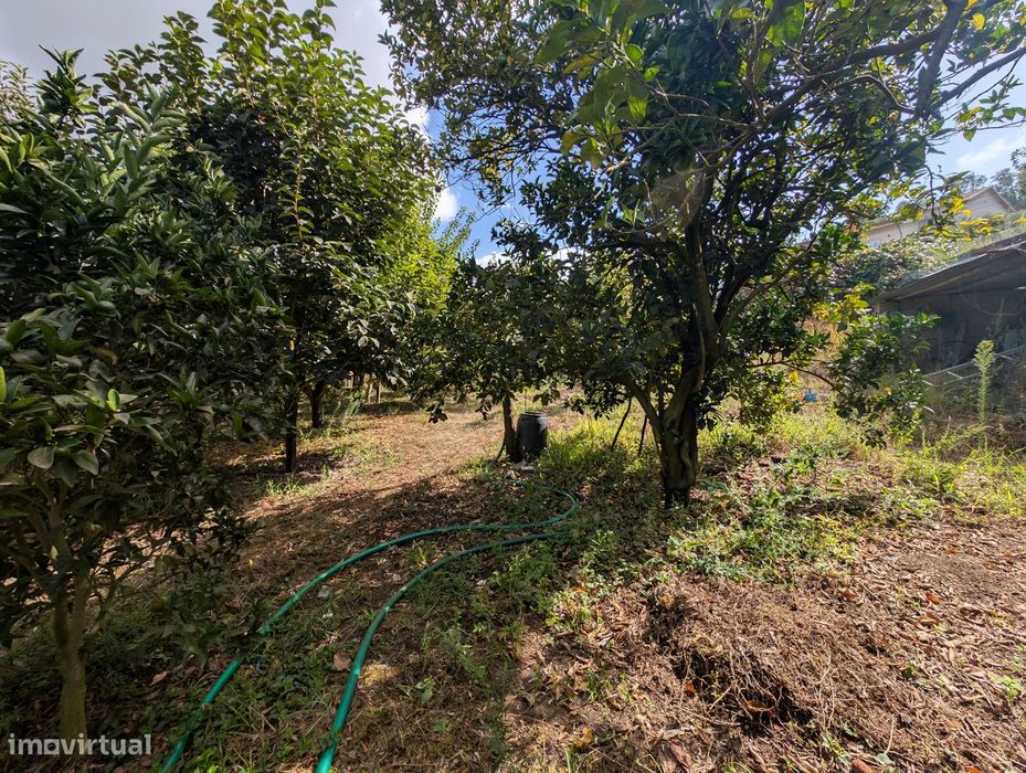 Terreno Misto em Vilaça – 1.100 m²