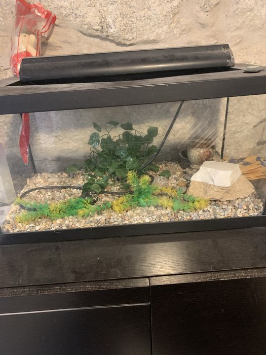 aquario em bom estado