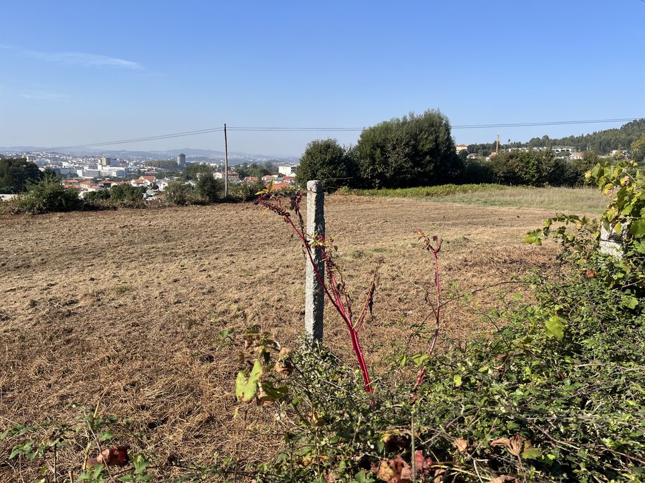 Limpezas de terrenos / desmatação e jardinagem