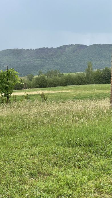 Продається деревяний будинок