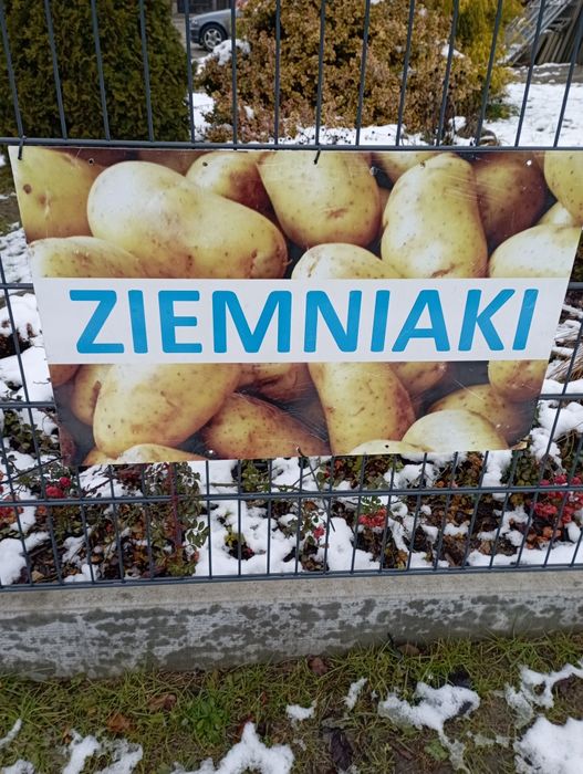 Ziemniaki z własnego pola