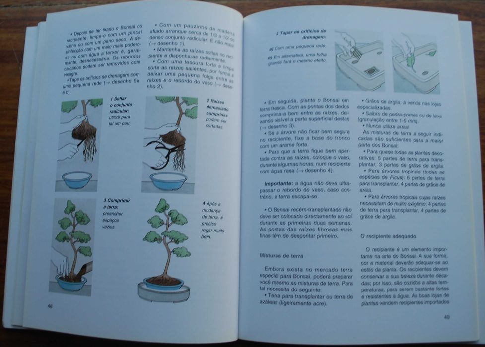 Bonsai de Interior de Jochen Pfisterer