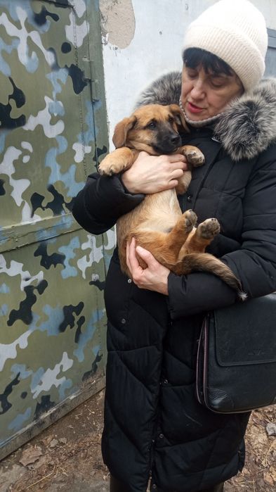 Щенок Макоша. 4 месяца