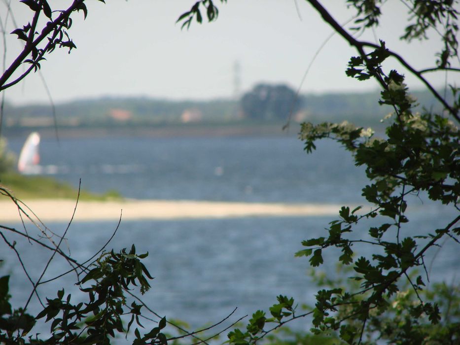 Działka nad jeziorem koło Gliwic