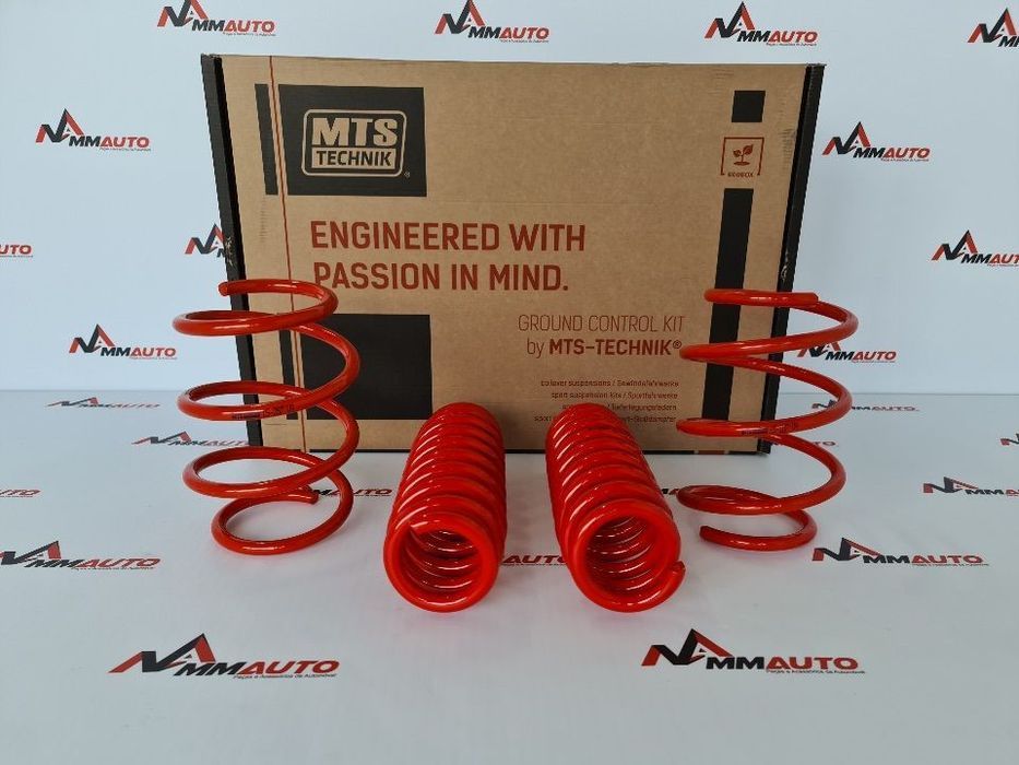 Molas Rebaixamento MTS Technik BMW F20 F21