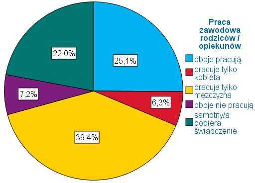 Analiza statystyczna i analiza ankiet w SPSS, Statistica i Excel.
