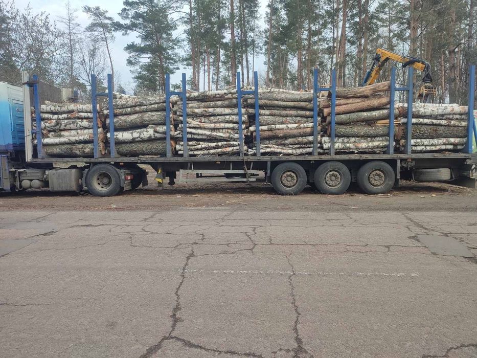 Дрова різних порід