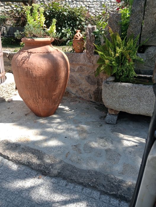 Talhas barro 1,20 altura (5) unidades valor por umidade