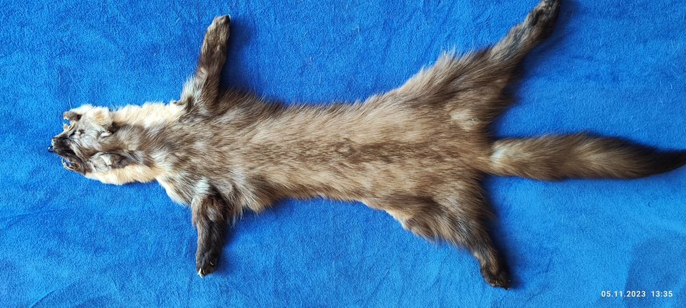 Мех куницы дикой