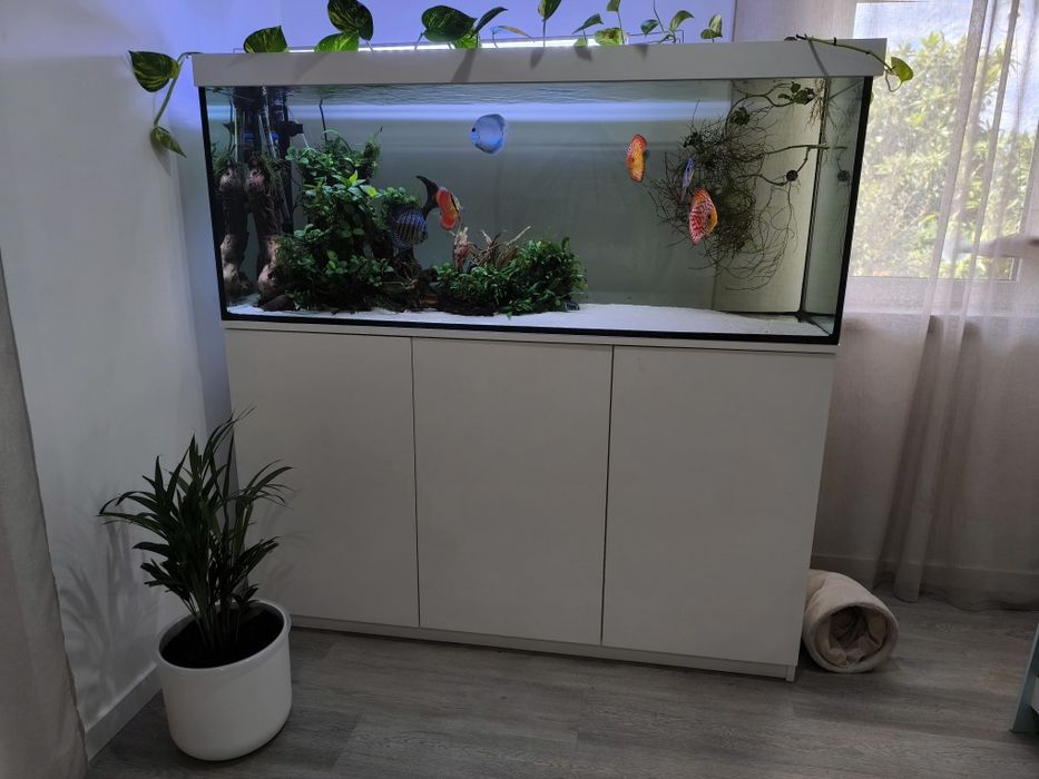 Aquário 150cm  com discos