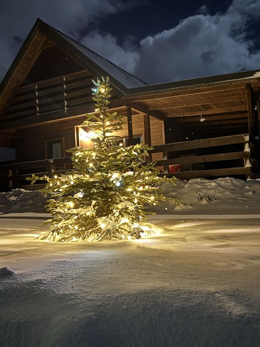 Nocleg |  Domek Drewniany | Stronie Śląskie | 2-6 osób | Taras | Wi-Fi