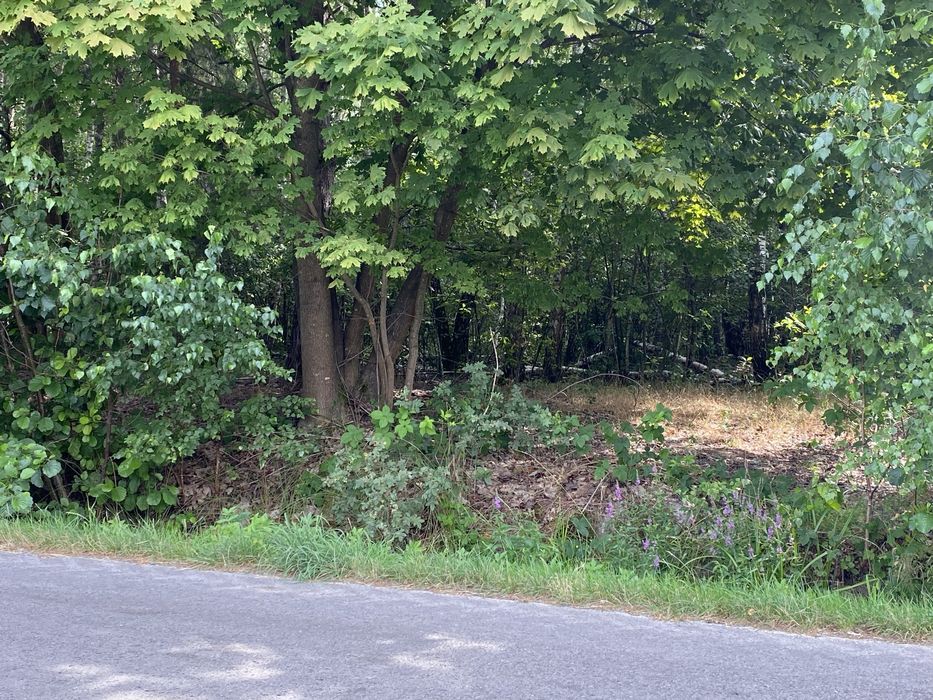 Działka Majdan Sieniawski