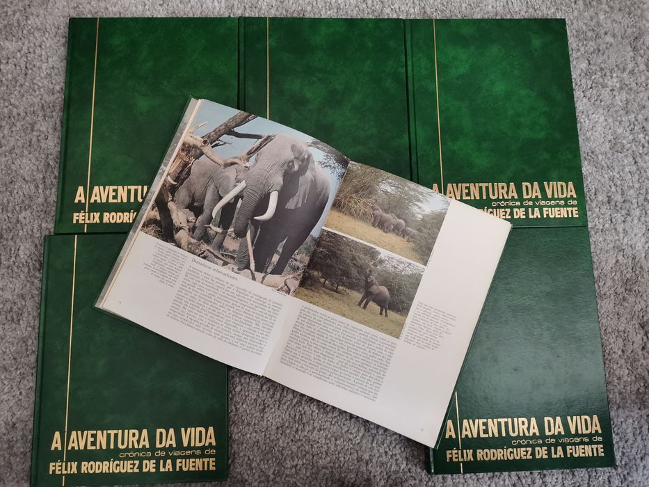 A aventura da vida