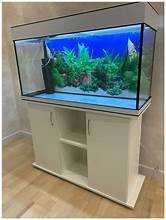 Fazendo aquários, vários trabalhos em vidro