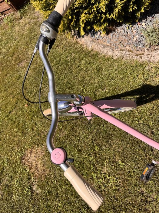 Rower damka pegasus shimano nexus