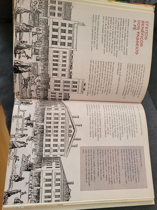 Livro "A botica da avó"