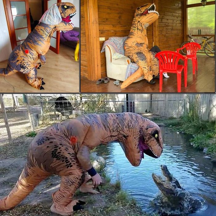 outlet kostium dmuchany t-rex jashke dla dorosłych 150-190 cm
