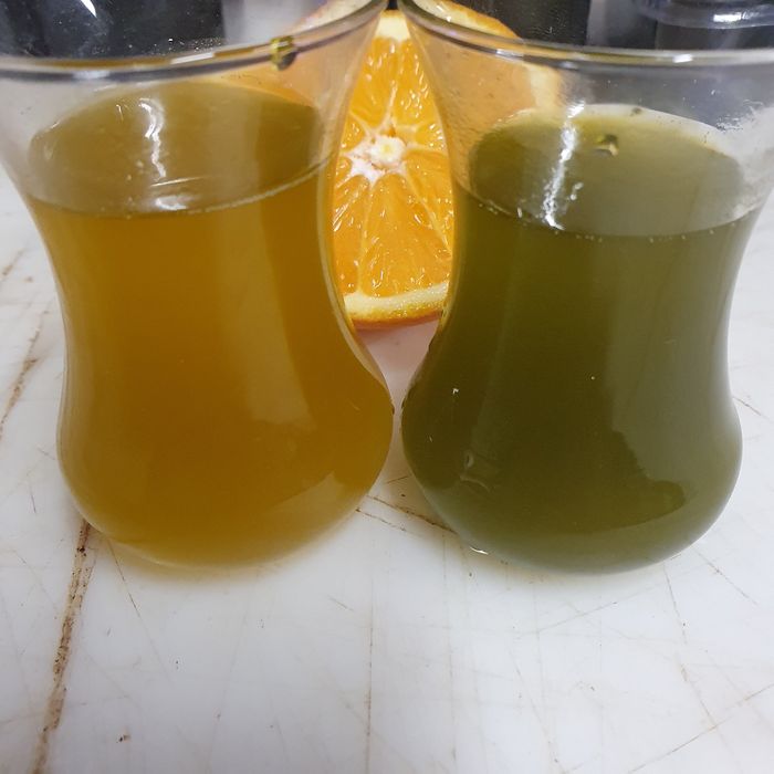 Oliwa z oliwek extra virgin Koroneika lub Manaki kwasowość 0.2