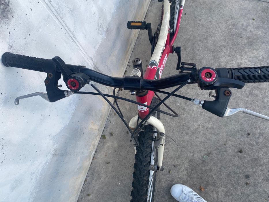 Vendo bicicleta Team Pro