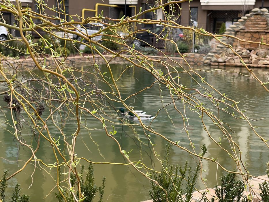 Подобово оренда Жк Софія Резиденція Софіївська Борщагівка