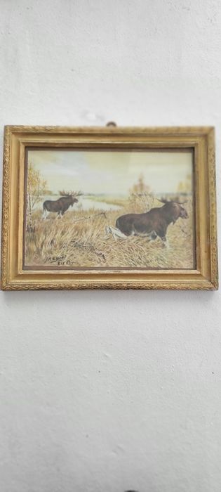 Stary obraz myśliwski Łoś, złota  Rama