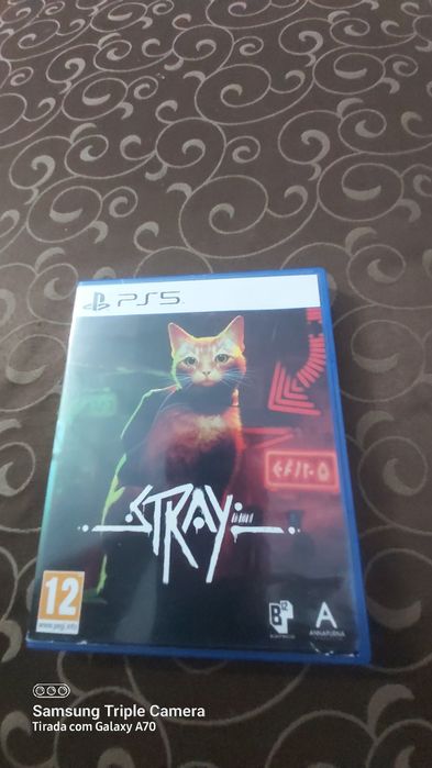 Stray playstation 5