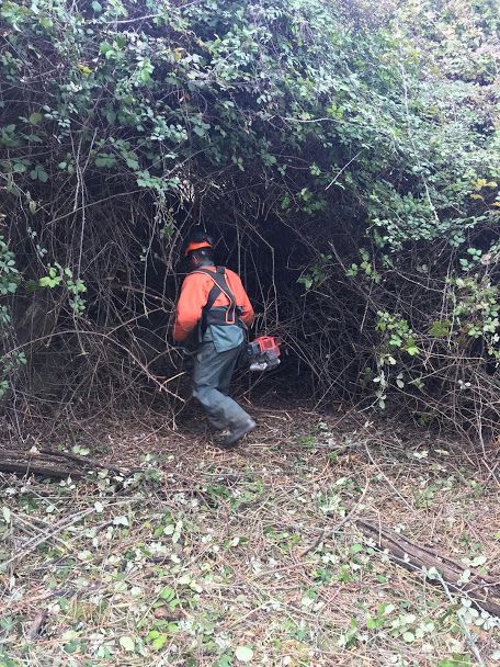 LLP-Limpeza de terrenos/ lavra terrenos/Prestação de serviços