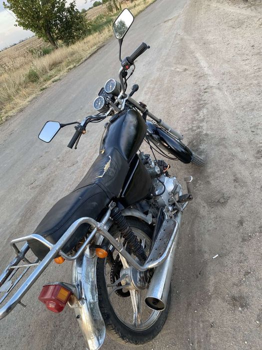 Альфа на полном ходу