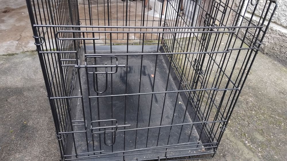 Transportadora de Animais