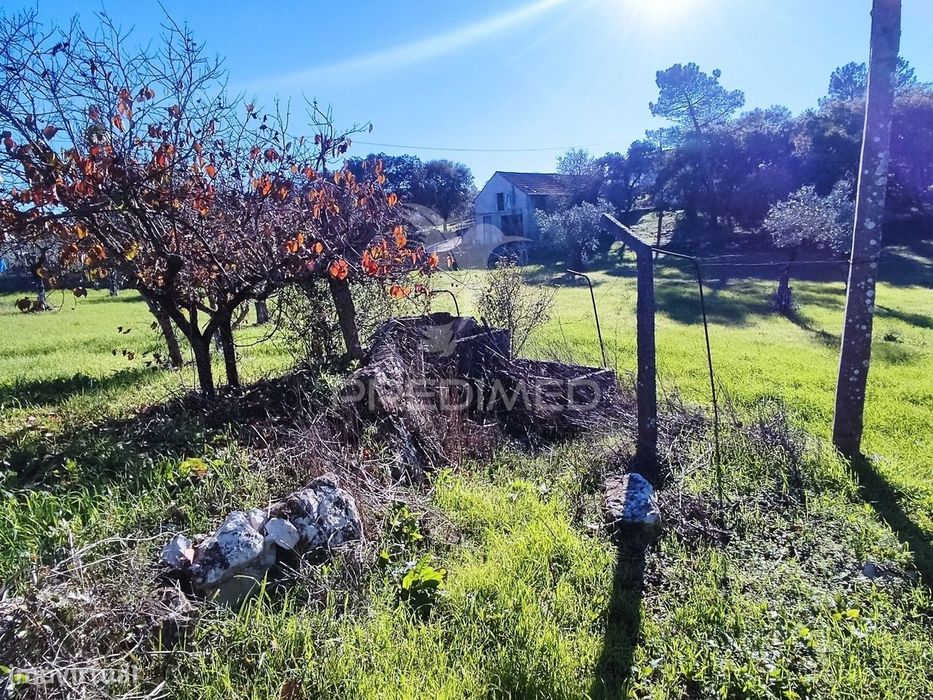 Terreno com barracão no Zambujal