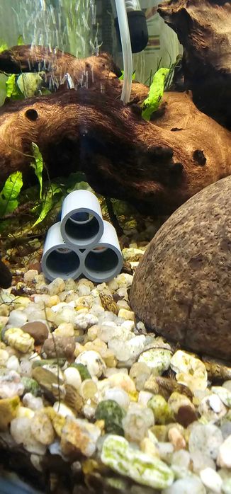 Tocas e acessorios para camaroes e peixes