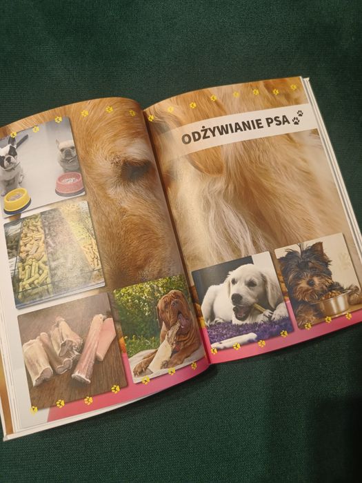 Mój pies - praca zbiorowa