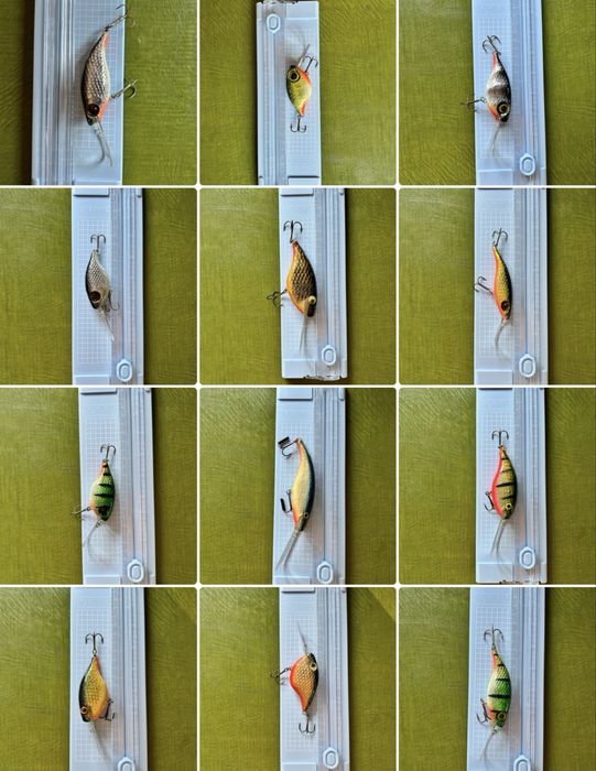 Wobler Zbyszek Wąchała różne kolory