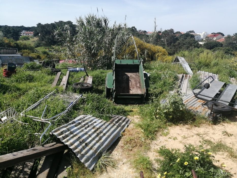 Carroça. Puxada por animais.