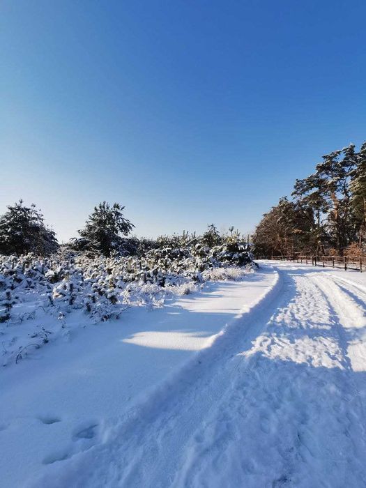 Ділянка під забудову 5,39 сот 13500$ без комісії!