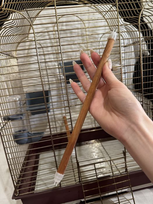 Клітки для папуг та аксесуари
