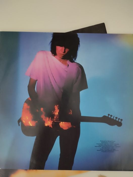Vinil Pretenders