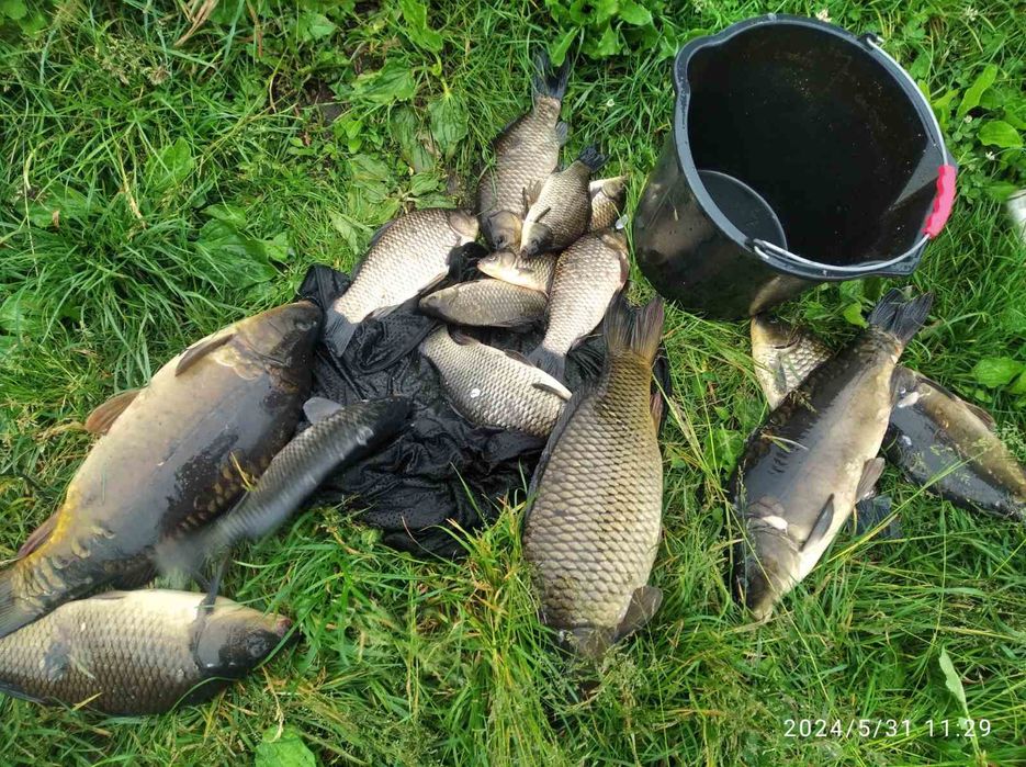 Рибалка / риболовля