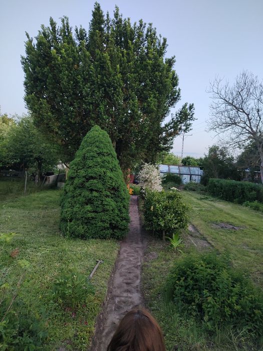 Ogródek działkowy