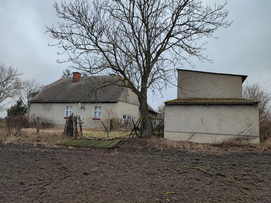 Siedlisko 1,26ha, 10km od Starogardu Gdańskiego i 10km od wjazdu na A1 - Widok 5