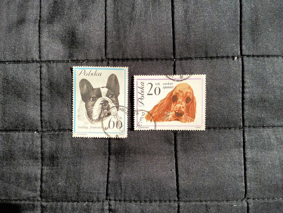 Znaczki pocztowe, tematyczne, Polska, Rasy psów