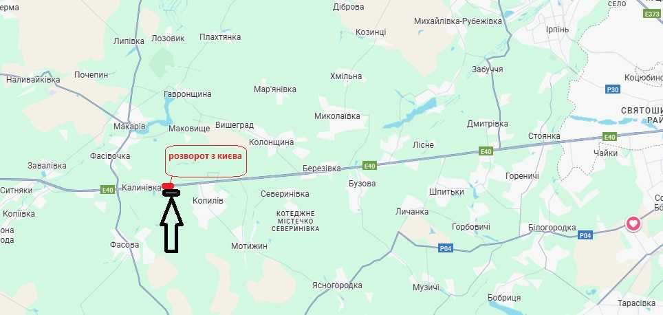 Продаж 2 земельних ділянок у лісі по 2 га, с. Копилів