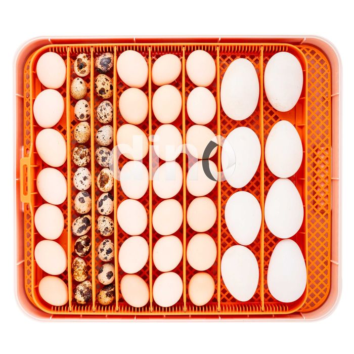 Inkubator WYLĘGARKA automatyczna DINO PRO 56 jaj kaczek gęsi 12V 230V