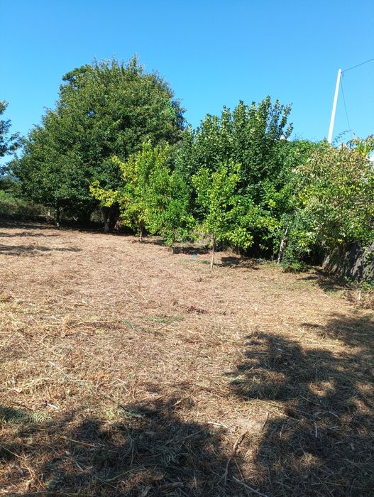 Limpeza dê terrenos e jardim