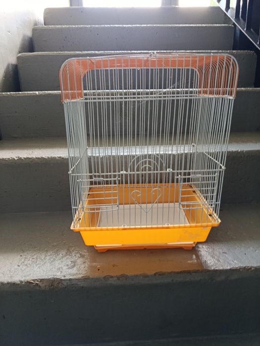 Gaiola de piriquitos